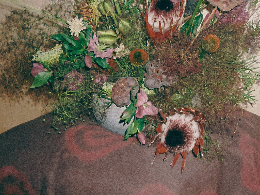 The Shadow of Flowers